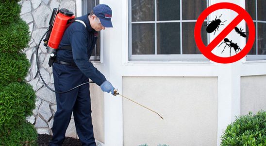 Güzelyalı Gümüşkurt İlaçlama böcek ilaçlama ve haşere kontrolü — ilaclama-tr.com